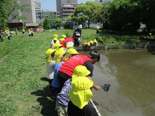 田植えの写真（中学生と園児）