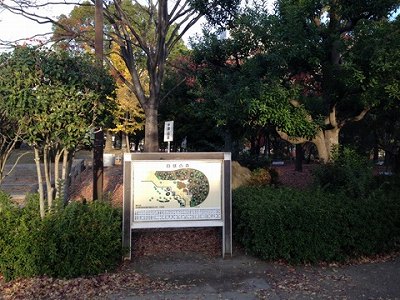 鳴尾浜臨海公園（白球の森）