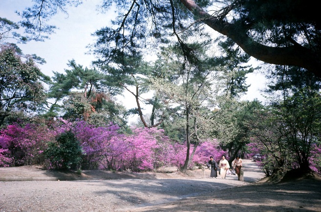 廣田山散策路（昭和48年）