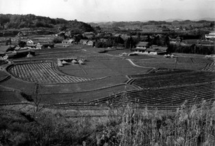 酒米の産地　三木市市野瀬地区