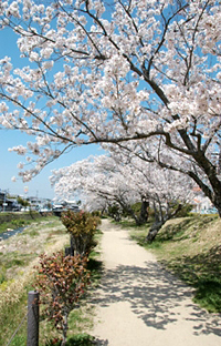 有馬川緑道