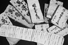 写真：岡本家文書