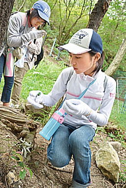 写真：豊かな環境