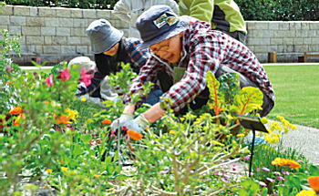 写真：花咲かせ隊