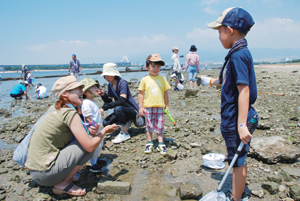 写真：甲子園浜