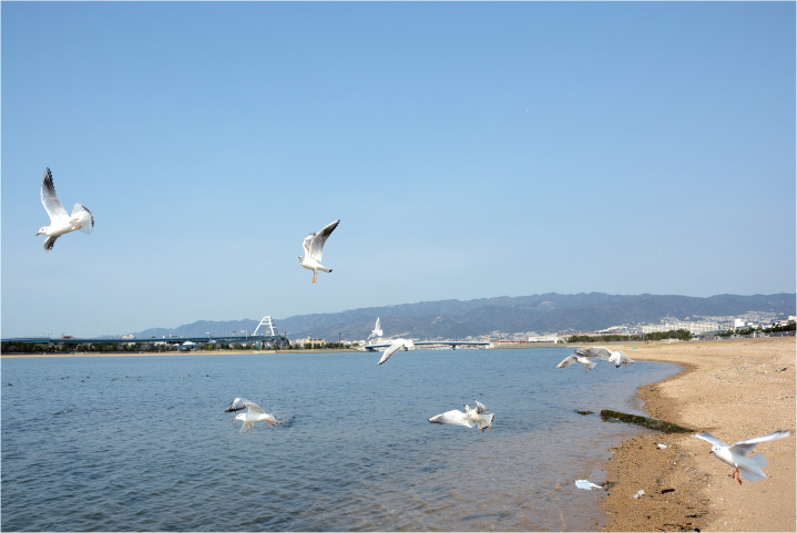 写真：甲子園浜