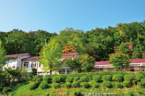 写真：船坂里山学校