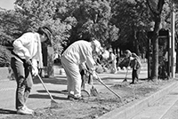 写真：市内の公園や道路上の散乱ごみを拾う様子