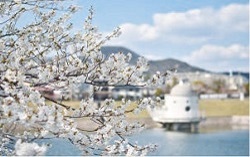 写真：ニテコ池（満池谷町）