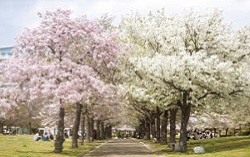 写真：海辺の道公園（西宮浜）