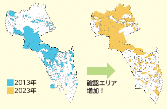 2013年に比べ2023年はアライグマの確認エリアが増加