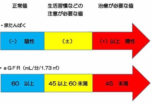 腎機能