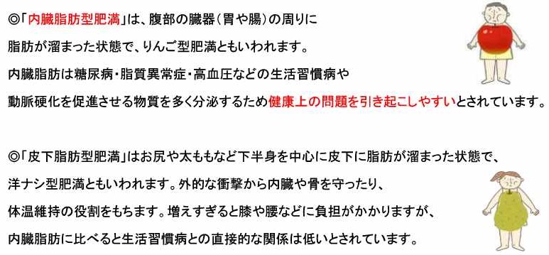 内臓脂肪型肥満と皮下脂肪型肥満の違い