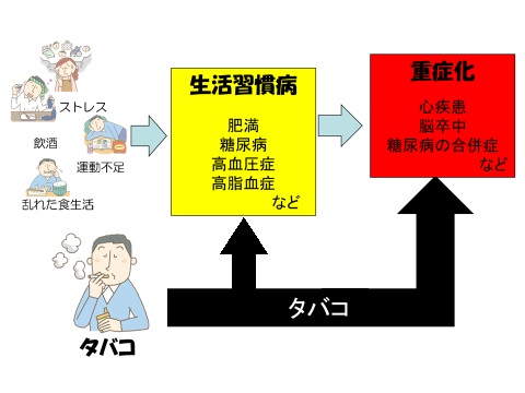 タバコが生活習慣病に影響し、重症化にも関わることになる図