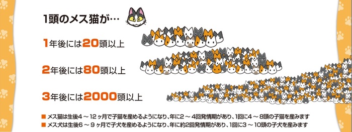 猫の繁殖力