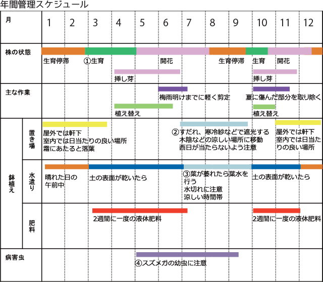 エンジェルス・イヤリング　年間管理スケジュール