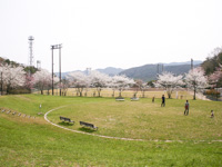 写真：高座山公園