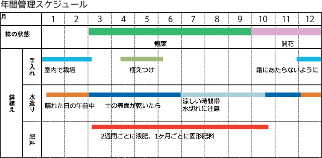 プレランサ　年間管理スケジュール