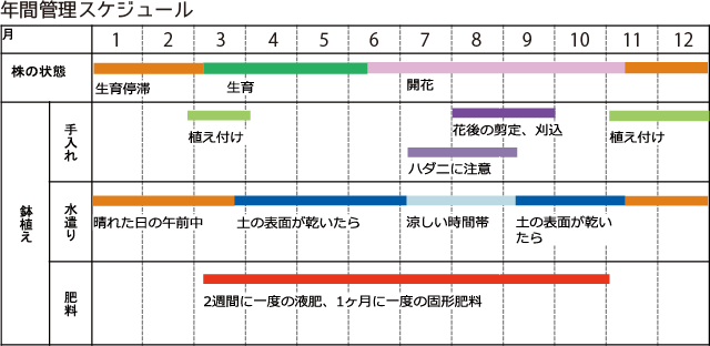 サマー・アメジスト　年間管理スケジュール