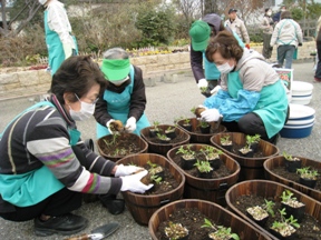 寄せ植え製作_作業風景