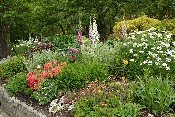 植え替えの済んだボーダー花壇