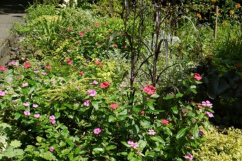 サポーターさんたちの花壇