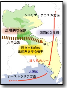 生物多様性社会的な役割