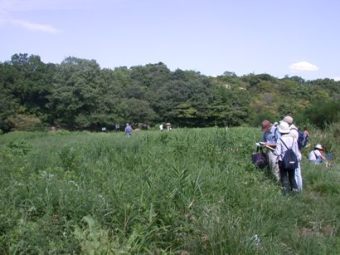 仁川自然保護地区1