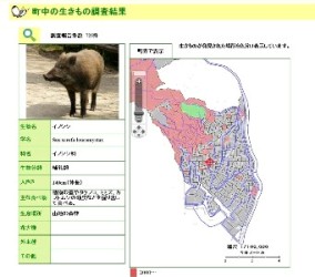 町中の生きもの調査結果