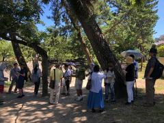 夙川公園カラーウォッチング