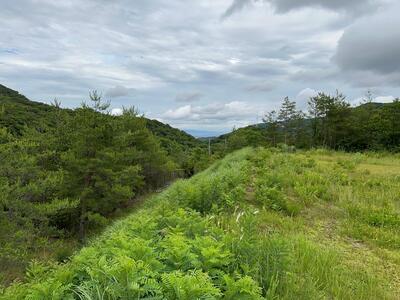 「名塩さくら台1丁目」