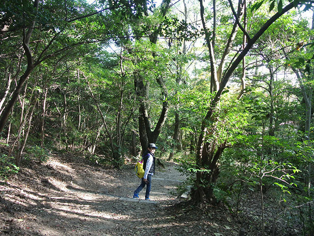 甲山森林公園