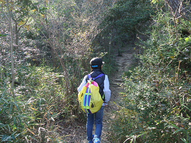 甲山森林公園