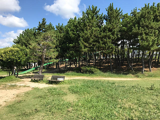 甲子園浜海浜公園