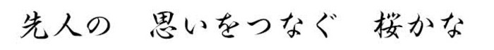 先人の　思いをつなぐ　桜かな