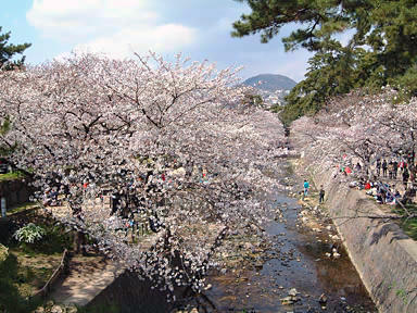 さくら夙川